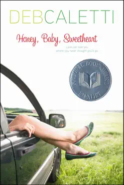 honey, baby, sweetheart book cover image