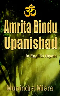amrita bindu upanishad book cover image