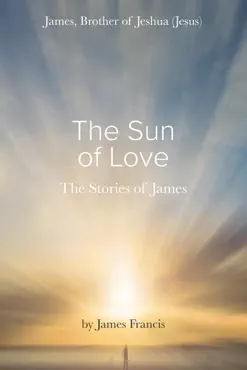the stories of james book cover image