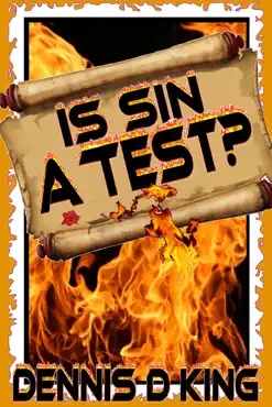 is sin a test book cover image