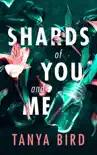 Shards of You and Me synopsis, comments