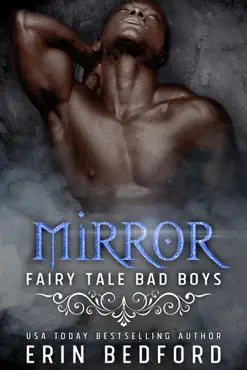 mirror book cover image