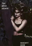 The Wish Demon synopsis, comments
