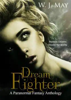 dream fighter book cover image