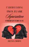 Understanding Twin Flame Separation synopsis, comments