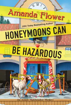 honeymoons can be hazardous book cover image