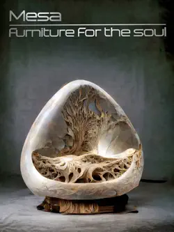 mesa - meditation furniture book cover image