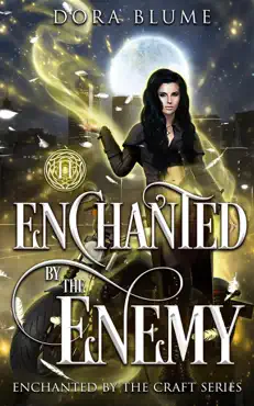 enchanted by the enemy book cover image