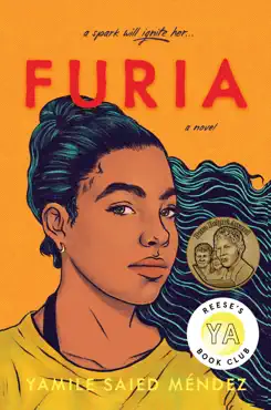 furia book cover image