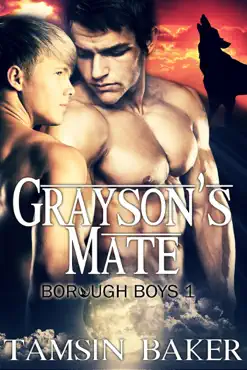grayson's mate book cover image