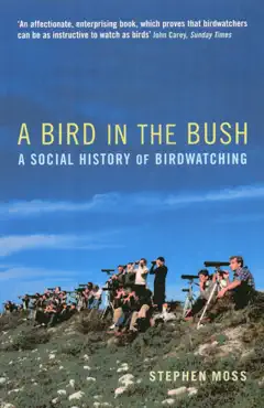 a bird in the bush book cover image