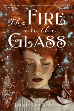 the fire in the glass book cover image