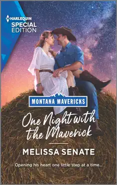 one night with the maverick book cover image