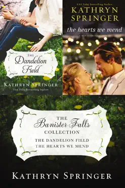 the banister falls collection book cover image