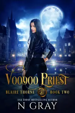 voodoo priest book cover image