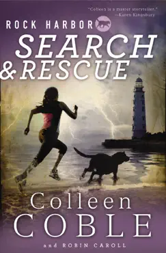 rock harbor search and rescue book cover image