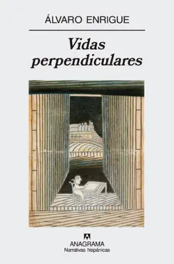 vidas perpendiculares book cover image