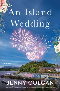 an island wedding book cover image