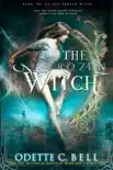 The Frozen Witch Book One synopsis, comments