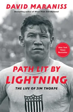 path lit by lightning book cover image