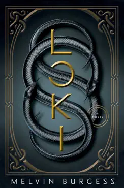 loki book cover image