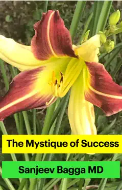 the mystique of success book cover image