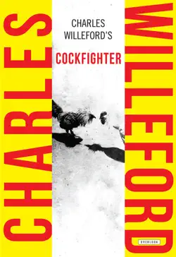 cockfighter book cover image