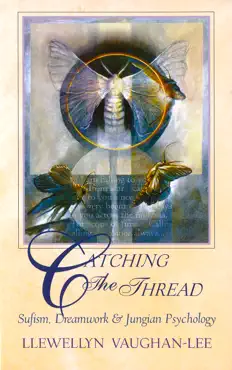 catching the thread book cover image