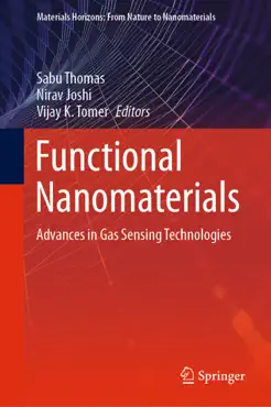 functional nanomaterials book cover image