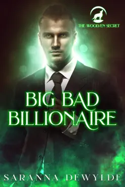 big bad billionaire book cover image