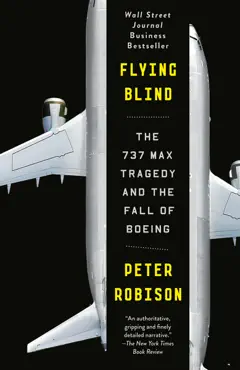 flying blind book cover image