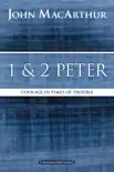 1 and 2 Peter synopsis, comments