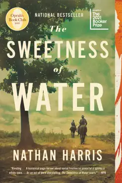 the sweetness of water (oprah's book club) book cover image