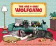 The One and Only Wolfgang synopsis, comments