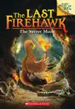 The Secret Maze: A Branches Book (The Last Firehawk #10) book summary, reviews and download