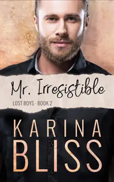 mr irresistible book cover image