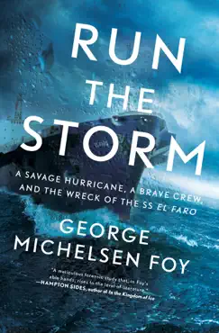 run the storm book cover image