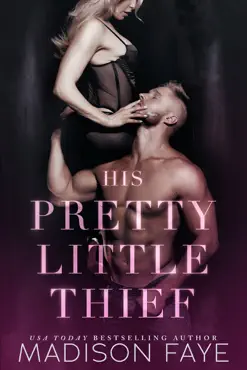 his pretty little thief book cover image