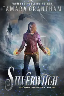 silverwitch book cover image