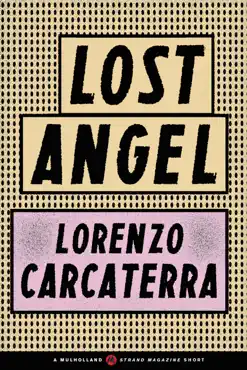 lost angel book cover image