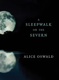 a sleepwalk on the severn book cover image