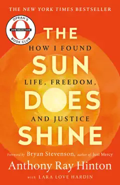 the sun does shine book cover image