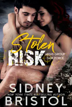 stolen risk book cover image