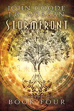 stormfront book cover image