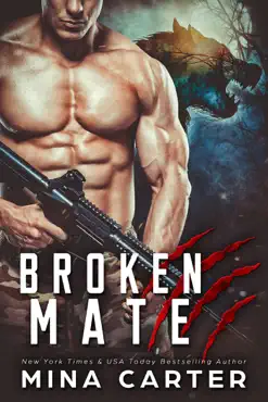 broken mate book cover image