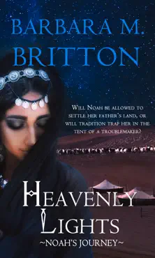 heavenly lights book cover image