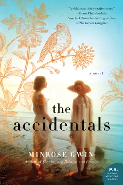 the accidentals book cover image