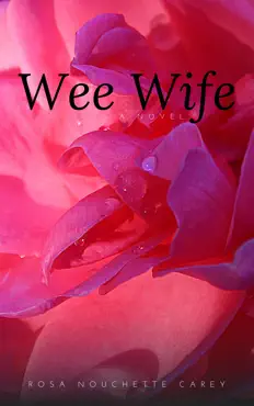 wee wifie book cover image