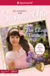 The Lilac Tunnel synopsis, comments