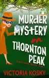 Murder Mystery on Thornton Peak synopsis, comments